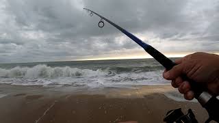 Bethany Beach surf fishing October 2020 [upl. by Erna]