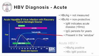 Viral Hepatitis B and D [upl. by Notsnorb]