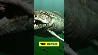 The Goblin Sharks Eerie Superpower factsocean deepsea sharks [upl. by Gnagflow421]