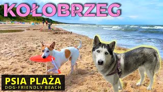 🇵🇱 Kołobrzeg 2024 Psia Plaża Kołobrzeg Plaża dla Psów 4K Plaża Zachodnia [upl. by Araihc]