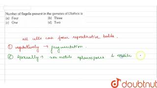 Number of flagella present in the gametes of Ulothrix is  11  PLANT KINGDOM  BIOLOGY  ERROR [upl. by Aeriell]