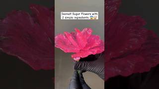 How to make Isomalt Flower 😱🌺 shorts isomalt flowers art cakedecorating trending viral [upl. by Aiciram]