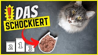 Top 5 beliebteste Katzenfutter amp was WIRKLICH drin ist [upl. by Alin]