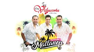 Los Villacorta  Homenaje a Mallanep Audio [upl. by Ruelle]