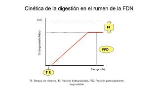 Digestibilidad Parte 3 [upl. by Retsevlis]