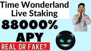 Time Wonderland Live Staking  88000 APY  Real Or Fake [upl. by Analed160]