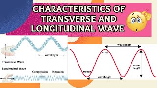 Characteristics of WaveMain Characteristics of transverse amp longitudinal waves [upl. by Anyela]