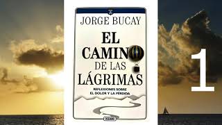 EL CAMINO DE LAS LAGRIMAS JORGE BUCAY [upl. by Nihi113]