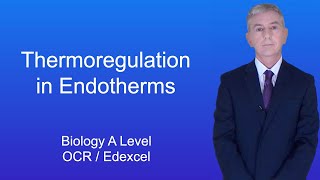 A Level Biology Revision Year 13 quotThermoregulation in Endothermsquot [upl. by Alarise]