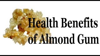 Health Benefits of Almond Gum Health tips [upl. by Johannessen]