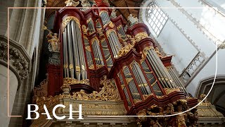 Bach  Fuga sopra il Magnificat BWV 733  Havinga  Netherlands Bach Society [upl. by Zelikow]