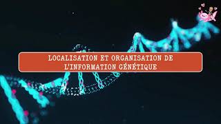 Localisation et Organisation de linformation héréditaire [upl. by Lennahs12]