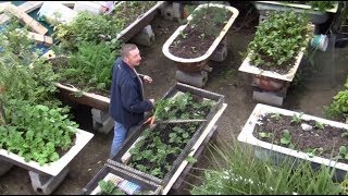 How this Guy Grows Organic Vegetables in Over 25 Bathtubs [upl. by Adanar]