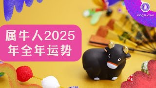 2025年属牛人全年运势运程 生肖牛2025年全年运势解析 2025年属牛人全年运势属牛人 生肖牛 2025年运程 全年运势 运势解析 星座运势 运势预测 [upl. by Biles336]