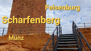 Felsenburg Scharfenberg Münz [upl. by Lenoil]