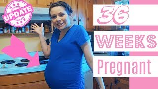 36 Weeks Pregnant  Baby Bump [upl. by Navets]