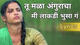 Tu Mala Angrakha Ki Lakdi Bhusa G Lyrics  Ek Phool Marathi Song Lyrics  Tu Mala Anguracha [upl. by Cecelia]