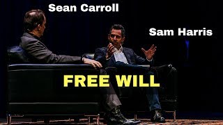 Sam Harris and Sean Carroll talking about free will [upl. by Atlas]