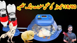 Automatic incubator Information  1860 eggs incubator review [upl. by Yanahc]