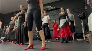 Flamenco master class [upl. by Perrin]