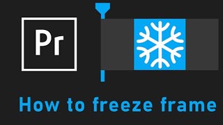 Frame Freeze Adobe Premiere Pro Pause On Single Frame [upl. by Leruj234]