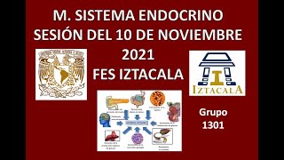 M Sistema Endocrino Sesión del Miércoles 10 de Noviembre del 2021 [upl. by Yeldua378]