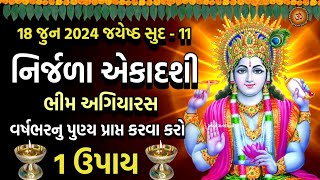 નિર્જળા એકાદશી આખા વર્ષનુ પુણ્ય પ્રાપ્ત કરવા કરો 1 ઉપાય  Nirjala Ekadashi 2024  Bhim Ekadashi 2024 [upl. by Ardnola]