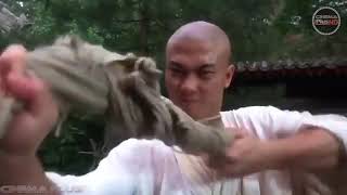 Jet li  Tai Chi master theme song chinese [upl. by Netsrijk]