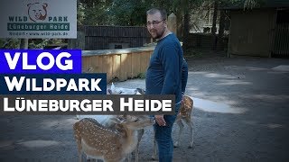 Wildpark Lüneburger Heide Wolfsheulen und Tiere Hautnah  VLOG 4K [upl. by Tare]