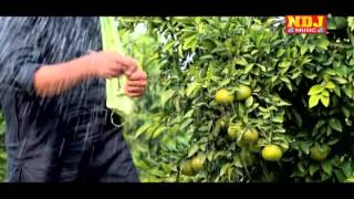 Meri Khet Mein Duty Lage Se  New Haryanvi Songs 2015  Haryanvi Dj Song [upl. by Assillam]