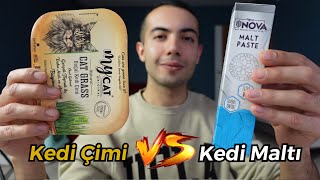 KEDİ ÇİMİ VS KEDİ MALTI Kedi Çimi ve Kedi Maltı Arasındaki Farkları  Avantaj ve Dezavantajlar [upl. by Niraj]