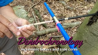 Dendrochronology How to use an increment borer [upl. by Peta]