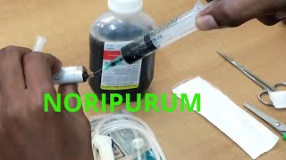 NORIPURUM PARA ANEMIA Myyearonyoutubecanalsaudavelmentesandoval [upl. by Margo]