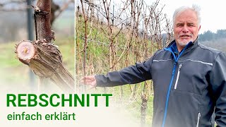 REBSCHNITT und BIEGEN erklärt  WeinWissen [upl. by Zere]