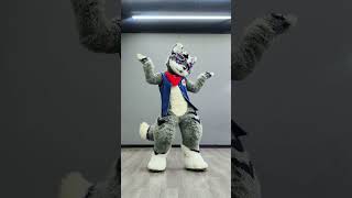 Do the niconiconi dance niconiconii lovelive kemono kemonofurry kemonofursuit furrytiktok [upl. by Toni]