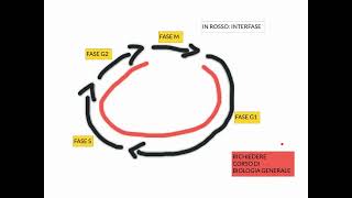 CORSO DI BIOLOGIA CELLULARE 2  LEZIONE 7  CICLO CELLULARE  PARTE 1 [upl. by Natividad]