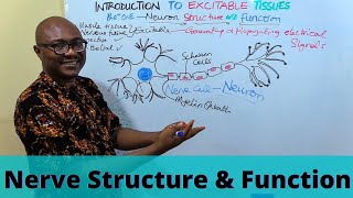 Introduction to Excitable Tissues [upl. by Aicirtac273]