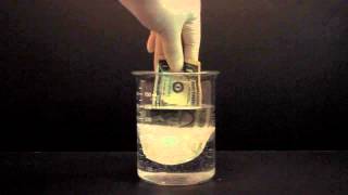 The Difference Between Hydrophilic and Hydrophobic [upl. by Lenz]