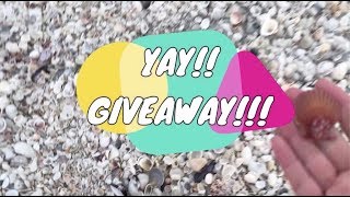 ♡ GIVEAWAY♡ Come with me to the Shell Pile [upl. by Saxena662]