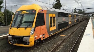 Sydney Trains Vlog 726 Thornleigh Part 2 [upl. by Kra]