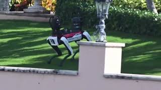 US Secret Service deploys robotic dogs to protect President Donald Trump [upl. by Drofnats]