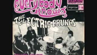 The Electric Prunes  I [upl. by Tigdirb810]