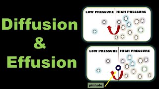 Diffusion and Effusion of Gases Definition Examples and Difference  State of Matter Gaseous State [upl. by Corrinne]