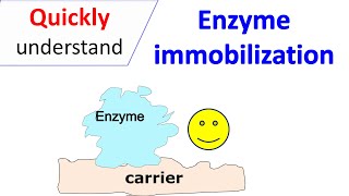 Enzyme immobilization [upl. by Derf]