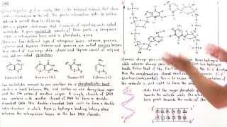 Introduction to DNA [upl. by Link]