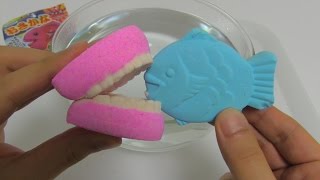 ASMR Prize Bath Bomb 224 Fish and Teeth [upl. by Gollin]