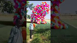 The Mascot Vaibreto Assistant Please On the Football Field viralvideo funny mohit vfx [upl. by Esikram]