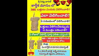 365 vattulu ela veliginchali 2024karthika masam lo 365 vattulu ela veliginchalishort videostoday [upl. by Cassi]