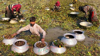 Water Chestnuts Harvesting  Water Chestnuts Plant  Singhara Recipe  Bihari Singhara Recipe [upl. by Kutzenco]