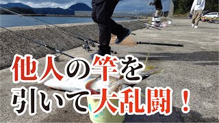 堤防で他人の竿に熊並みのパワーを持つ魚が掛かり大乱闘になった [upl. by Ong99]